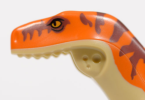 atrociraptor head image