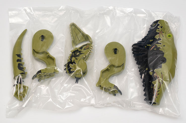 bagged gigantosaurus pieces