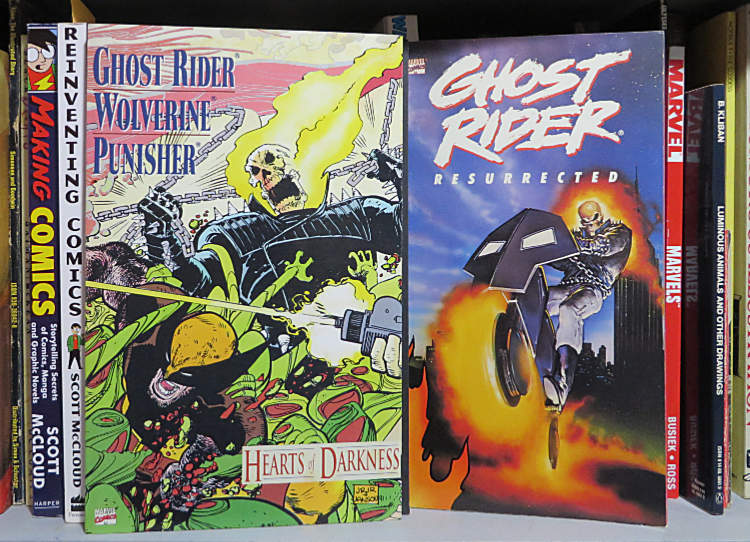 Ghost Rider Resurrected book